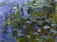 Motief Monet - Waterlelies